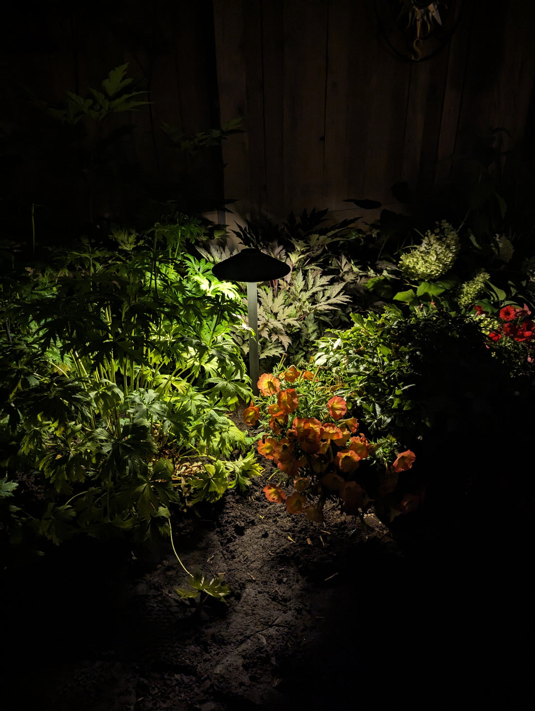 Solar Lighting In Alberta Canada